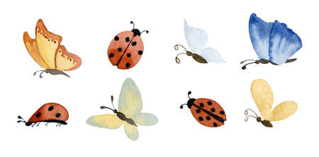 Watercolor Ladybirds and Butterflies. Hand drawn illustration of spring Insects. Ladybugs and beetles on white isolated background. Set of elements for iconの写真素材