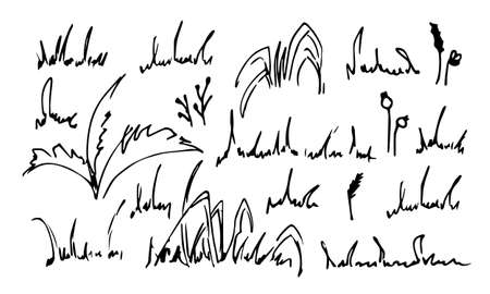 Doodle Grass set. Sketch of bush in simple line art style. Hand drawn vector illustration of herbs. Scribble painted by inkのイラスト素材