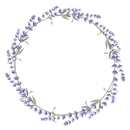 Lavender Wreath. Hand drawn watercolor floral circle Frame on white isolated background. Illustration of Lavandula border. Template for greeting cards or wedding invitations with Provence herbs.の写真素材