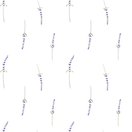 Lavender watercolor seamless Pattern on white isolated background. Hand drawn illustration with Provence Lavandula Flowers. Botanical backdrop with wild herb for wrapping paper or textile design.の写真素材