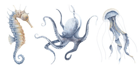 Sea animals. Watercolor illustration with Seahorse, Jellyfish and Octopus on isolated background. Drawing of Marine life with sea horse in pastel blue and orange colors. Sketch of ocean wild fauna.の写真素材