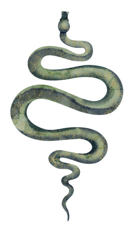 Snake on white isolated background. Watercolor illustration of venomous Serpent. Hand drawn clip art...