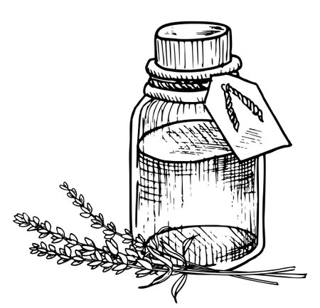 Lavender Essential Oil. Hand drawn vector illustration of vintage Bottle for aromatherapy on white isolated background. Line art drawing of old Flacon with Flowers for cosmetic or alternative medicineのイラスト素材