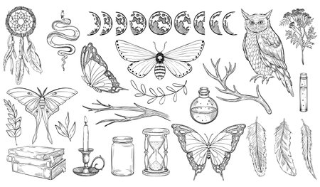 Mystical forest set. Vector illustration of owl and moths. Drawing of Witch Magic collection with butterfly, moon faces and dreamcatcher in linear style painted by black inks. Outline sketch of poisonのイラスト素材