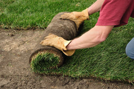 Unrolling Sod for a New Lawnの写真素材