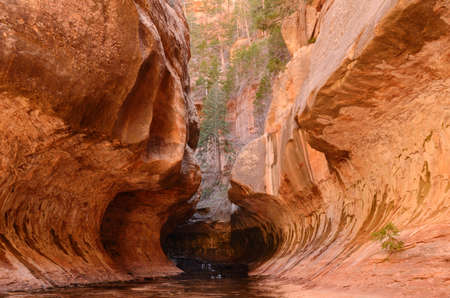 Entrance to the Subway Slot Canyon in Zion National Parkの写真素材