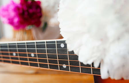 six metal strings on the neck of an acoustic guitar and lush multicolored fresh peony flowers. art mood photoの写真素材