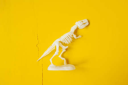 plastic white skeleton of a Tyrannosaurus dinosaur on a yellow wooden background