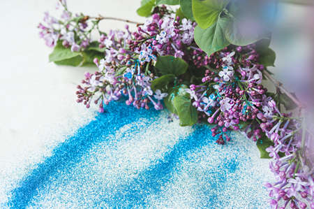 floral layout and template. Branches of fresh fragrant purple lilac on scattered blue shining...