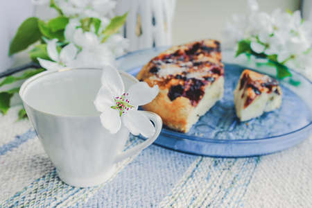 White porcelain cup with green tea and a fresh white pear tree flower and homemade berry pie with...