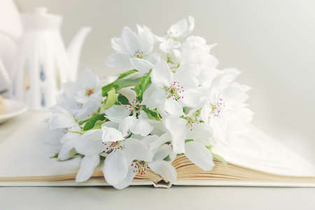 lush white bouquet of fresh flowers with green leaves on an open white paper, white porcelain teapot on the background. Reading time, summer bright morningの写真素材