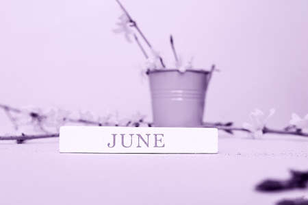 lettering June on a piece of wood with small metal bucket for decoration with a bouquet of spring flowers forsythia. grape compote color toning. perpetual wooden calendar. Month of Juneの写真素材