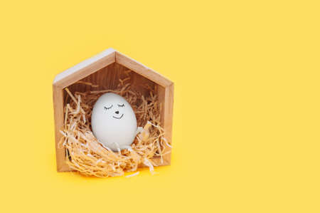 cute white easter egg with a black marker drawn face in little wooden house on a clear yellow backgroundの写真素材