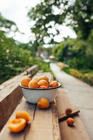 ripe juicy homemade apricots with cracks and flaws in the plate and scattered on wooden boards against the background of a green flowery gardenの写真素材