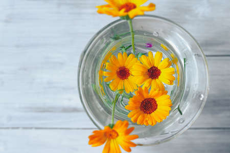 small yellow marigold flowers in a glass vase on a white blue blurred background, banner, selective focusの写真素材