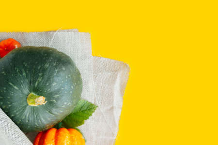 fresh small pumpkins of different sizes and colors in a rough gray fabric on a yellow backgroundの写真素材