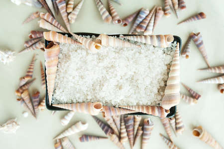 white sea salt in a black rectangular dish and a lot of identical long shells around on the...