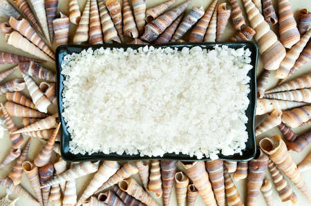 white sea salt in a black rectangular dish and a lot of identical long shells around on the backgroundの写真素材