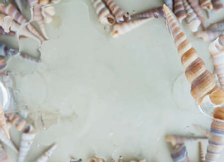 shells and water droplets on a light blue background, selective focus, blur, marine abstraction,の写真素材