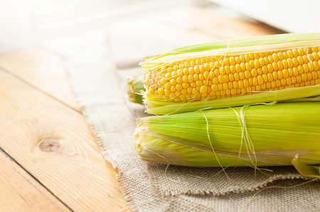 raw yellow corn on the cob in fabric burlap on a wooden background