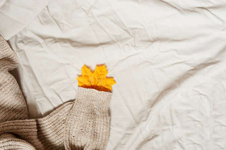 orange autumn leaf in the sleeve of a beige knitted sweater on a beige crumpled fabricの写真素材