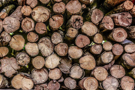 a pile of dried woods used in the furnace of a farmhouse