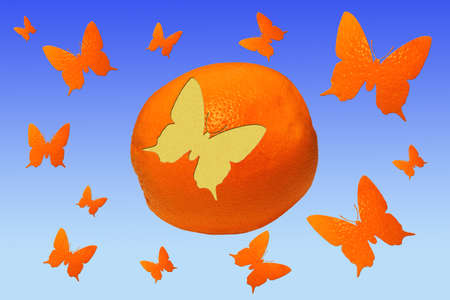 Orange and butterflies against the blue skyの写真素材