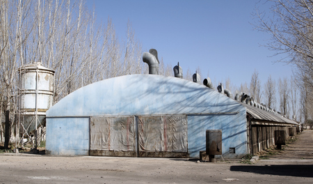 MENDOZA, ARGENTINE, August 13, 2014. Chicken hatchery, poultry dedicated to the production of eggs, Luzuriaga of Maip City, MENDOZA.のeditorial素材