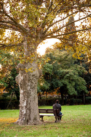man alone on the benchの写真素材