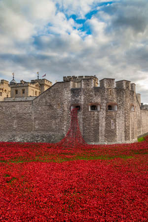 Tower of London and art installation - Blood Swept Lands and Seas of Red sees 888,246 ceramic poppies planted in the Towerのeditorial素材