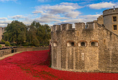 Tower of London and art installation - Blood Swept Lands and Seas of Red sees 888,246 ceramic poppies planted in the Towerのeditorial素材