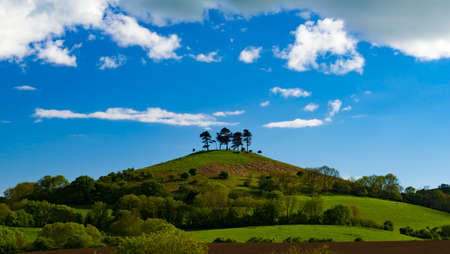 Dorset countryside around Colmer's Hill under blue skiesの写真素材