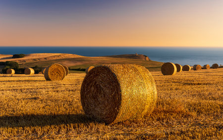 Low-angled sunshine illuminates hay rounds in fields overlooking Kimmeridge