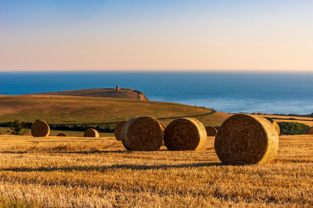 Low-angled sunshine illuminates hay rounds in fields overlooking Kimmeridge