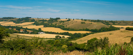 The Cerne Abbas Giant is the largest hill figure in Britain. The giant, carved in solid lines from...