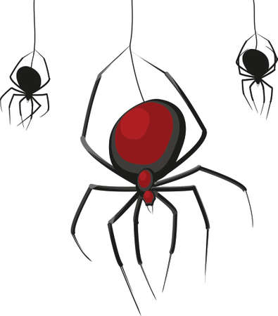 Spiders Black Widow isolated on a white backgroundのイラスト素材