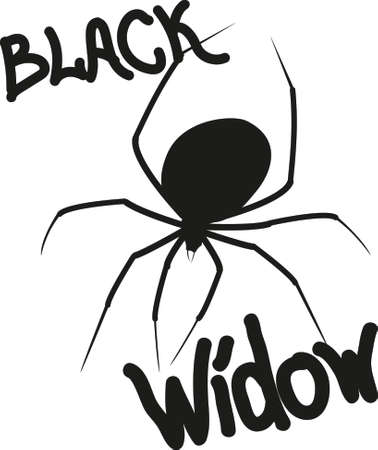 Silhouette of spider Black widowのイラスト素材