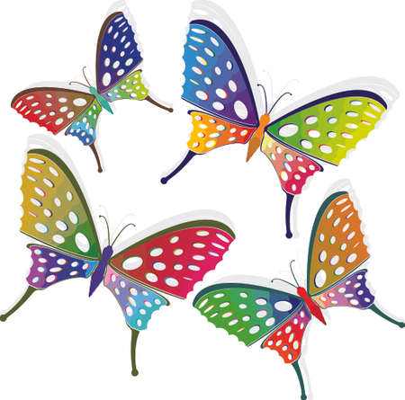 Colorful butterflies design vectorのイラスト素材