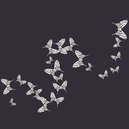 Fying butterflies design on black backgroundのイラスト素材
