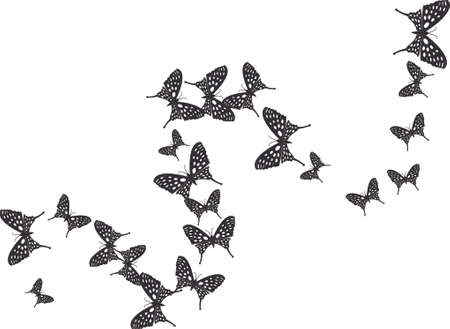 Fying butterflies design on white backgroundのイラスト素材