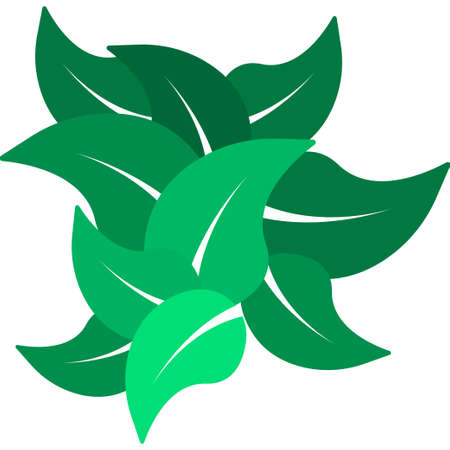 Branch with green leaves. Vector Illustration on a white backgroundのイラスト素材