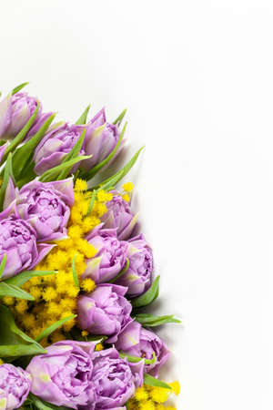 Bouquet of lilac tulips and yellow mimosas on white background, copy space, side view, closeup. March 8, February 14, birthday, Valentine's, Mother's, Women's day celebration, spring concept.の写真素材