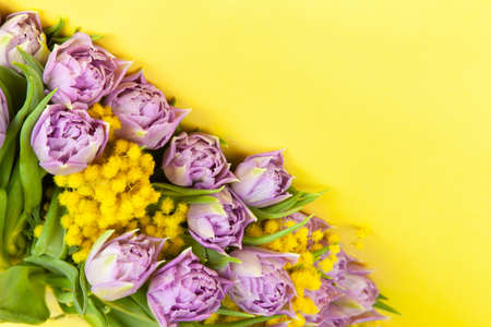 Bouquet of lilac tulips and yellow mimosas on yellow background, copy space, top view, closeup. March 8, February 14, birthday, Valentine's, Mother's, Women's day celebration, spring concept.の写真素材