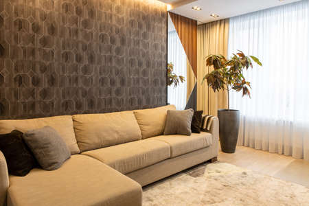 Interior of living room in neutral earthy tones. Large sofa with decorative cushions, potted plant Croton, geometric wood panel and mirror on wall. Concept modern interior design, natural materials.の写真素材