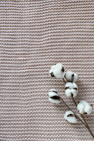 A sprig of cotton on a textured background, a dusty pink blanket on bed, top view, close-up, copy space. Concept comfort, natural fabrics, interior details. Minimal style. For decorating stationery.の写真素材