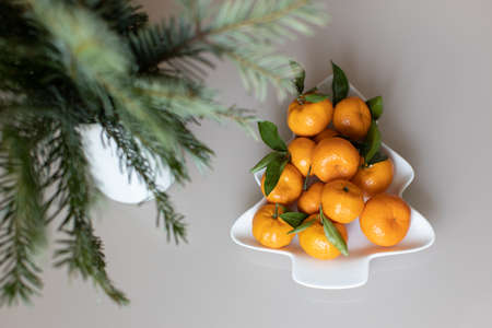 Small ripe tangerines with leaves, on plate in shape of Christmas tree on beige background. Concept winter vitamin food. Moody still life festive composition. For greeting card, book, stories.の写真素材