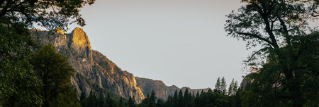 Panorama shot of trees and mountain ridge and conifer trees in Yosemite national park in USA with...