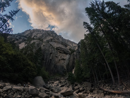 Dry river bed with visible stones in forest in Yosemite national park on Autumn in America, usa