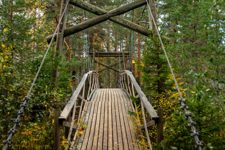 Wooden suspension bridge spans forested landscape, blending rustic design with lush autumn foliage. Towering evergreens frame a scenic pathway, creating a peaceful atmosphere in remote Nordic wilderness. Captured in Finland, Europe. Tiilikkajarven Kansallispuisto national park.の写真素材