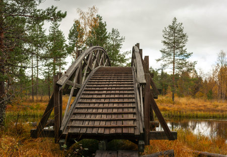 A weathered wooden arch bridge spans a tranquil wetland surrounded by golden autumn grasses and boreal trees. The rustic design enhances the untouched beauty of the Nordic landscape. Captured in Finland, Europe. Tiilikkajarven Kansallispuisto national park.の写真素材